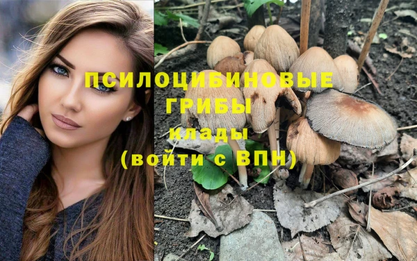 метамфетамин Няндома