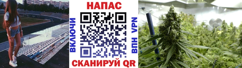 цена   Сорск  Шишки марихуана Bruce Banner 